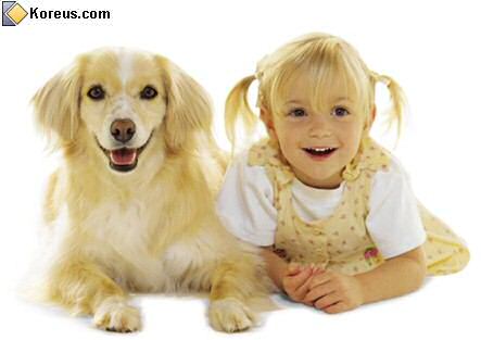 aler mon chien