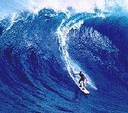 ...le surf